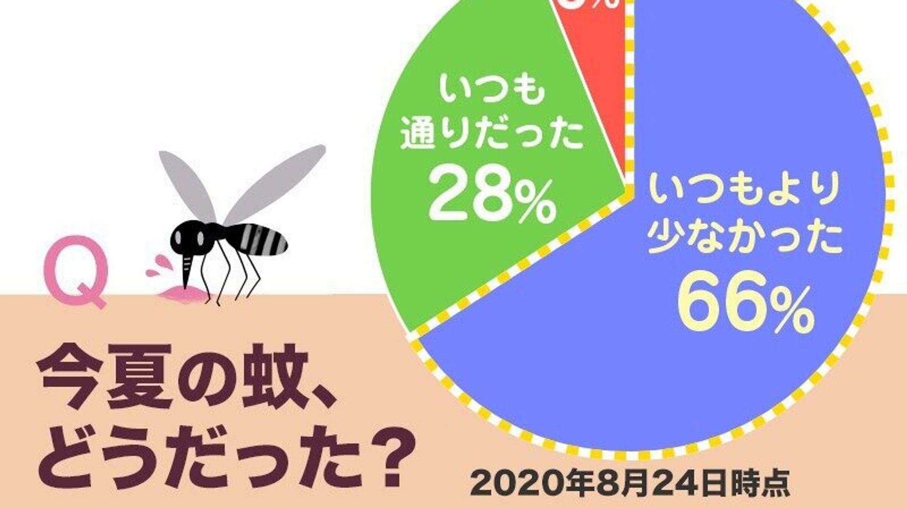 今夏の蚊はいつもより少ない 猛暑が落ち着く これからの時期 こそ要注意 ハフポスト