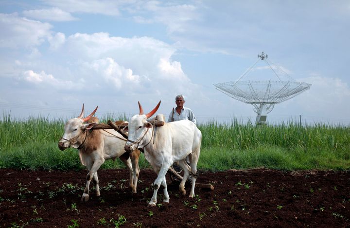 A farmer uses his oxen to till his land in front of a satellite dish set up in an adjacent field in Narayangaon September 28, 2012. 