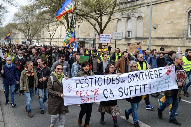Une manifestation contre les pesticides, à Bordeaux, le 14 mars