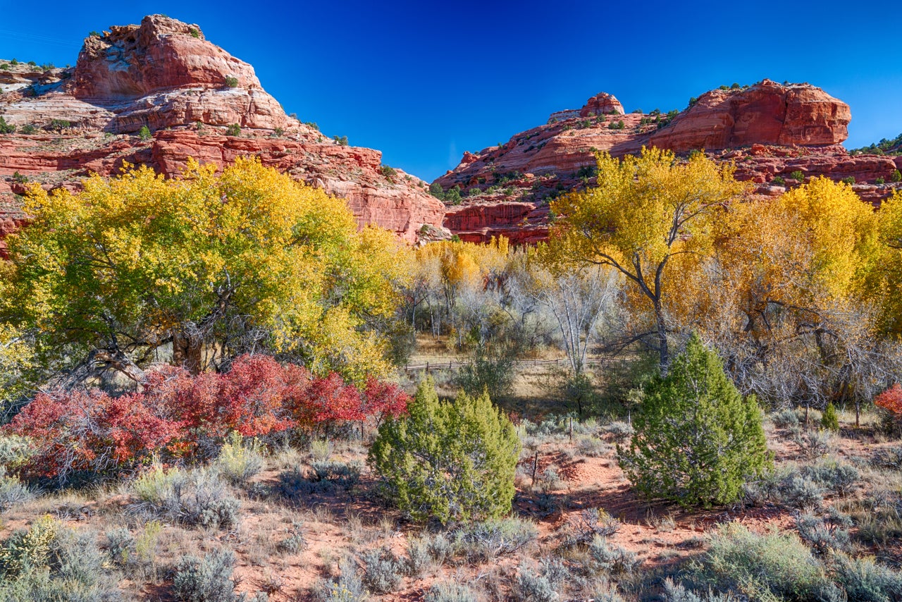 In 2017, President Donald Trump shrank the borders of the Grand Staircase-Escalante National Monument in Utah to open up the land to extraction.