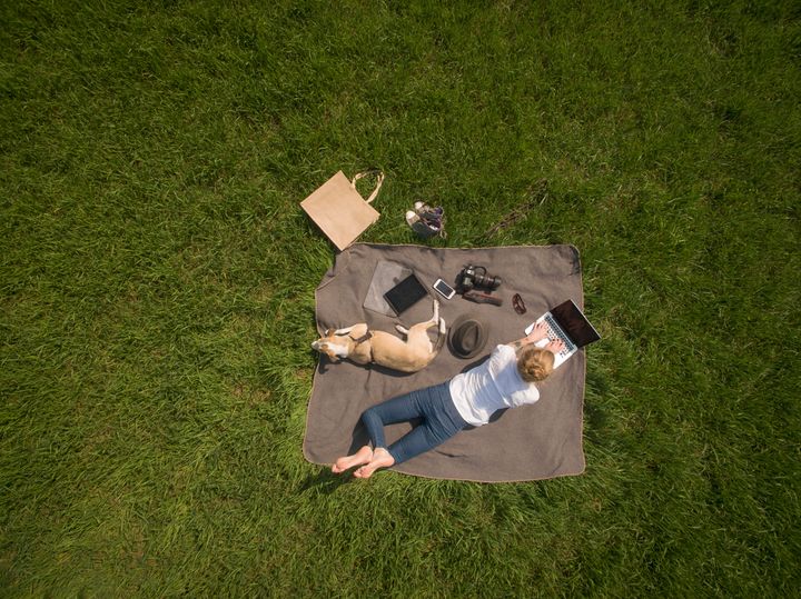 Woman lying on blanket on meadow with dog using laptop