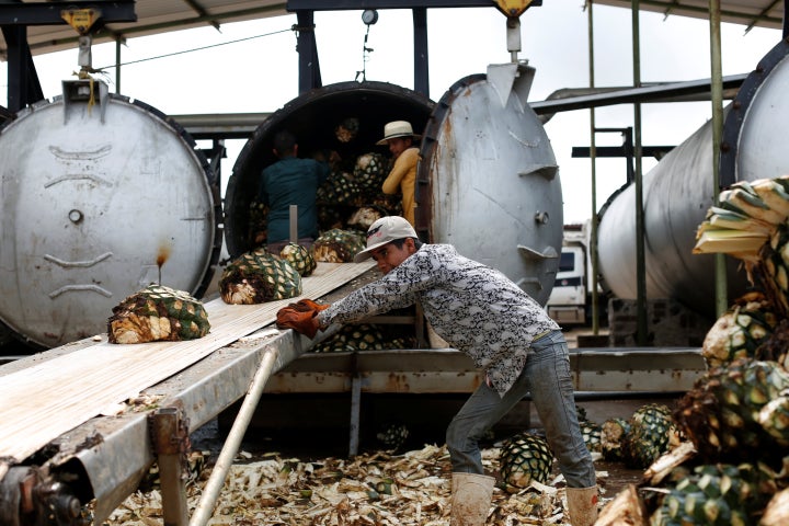 Workers loads blue agave hearts into an oven for distillation to make tequila at a factory in Amatitán, Jalisco, Mexico on Sept. 7, 2017.