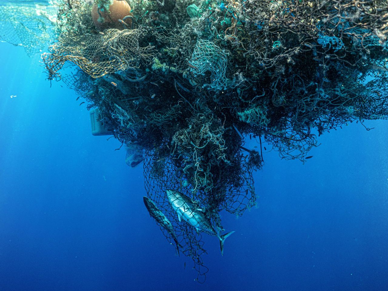 Abandoned fishing nets are the main source of plastic pollution in the Pacific Ocean.
