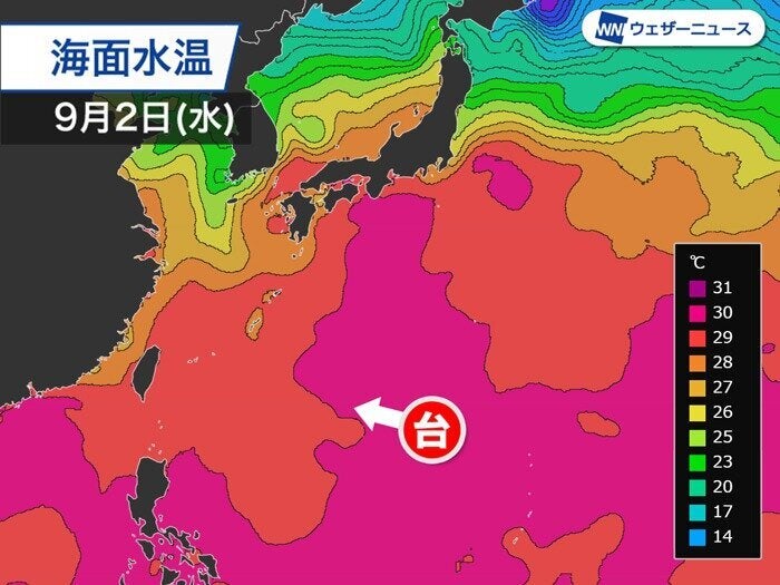 海面水温の解析（ピンクが30℃以上の海域）