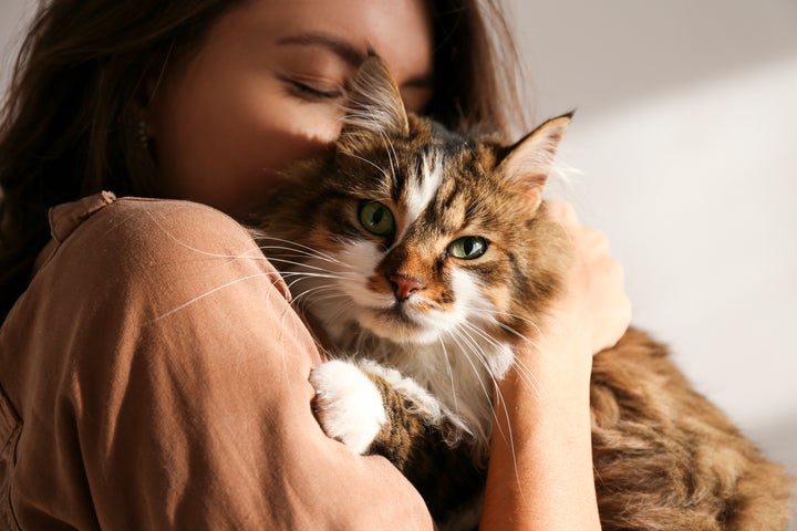 These Are 5 Different Types Of Cat Owner. Which One Are You? | HuffPost UK  Life