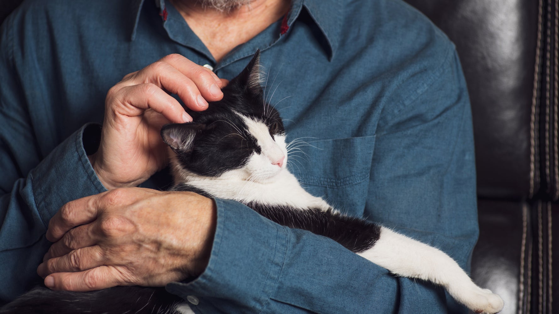 These Are 5 Different Types Of Cat Owner. Which One Are You?