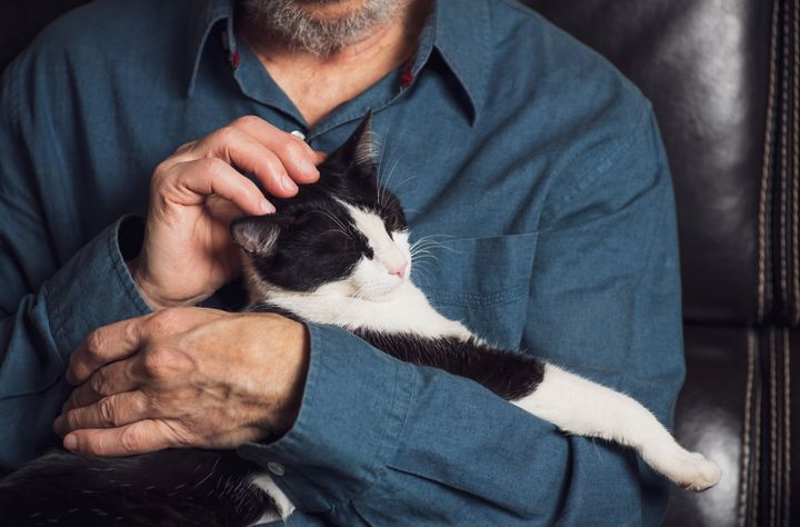 Senior man petting his cat on a sofa at home