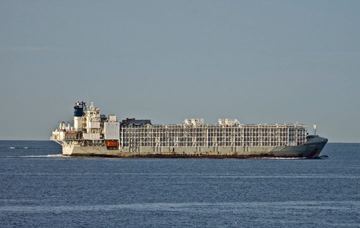 The 11,947-ton Gulf Livestock 1 cargo vessel is seen in Australia in 2019. Japanese rescuers were searching Thursday for the
