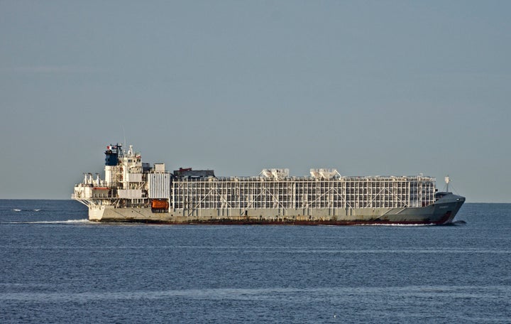 The 11,947-ton Gulf Livestock 1 cargo vessel is seen in Australia in 2019. Japanese rescuers were searching Thursday for the livestock ship carrying 42 crew members and 5,800 cows that a survivor said sank during rough weather.