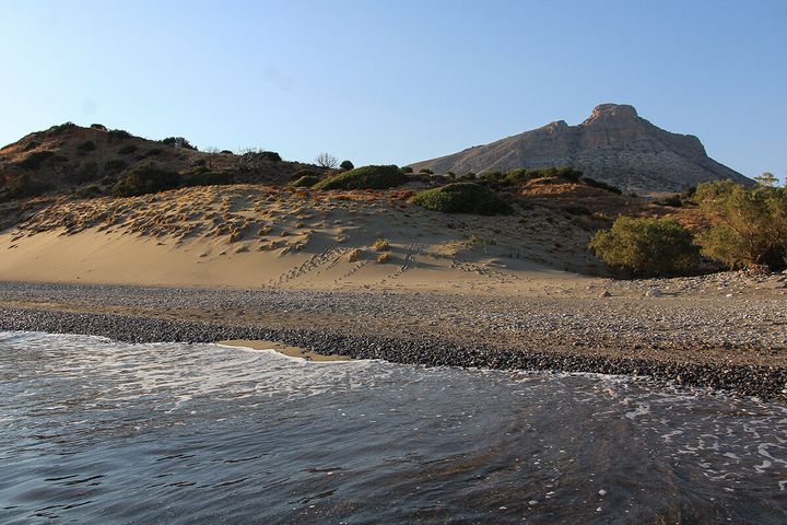 Αρμενόπετρα. Στο παρελθόν οι αμμόλοφοι ήταν μεγαλύτεροι. Πάντως ακόμη συνεχίζουν να ανθίζουν πάνω τους τα Κρινάκια της Άμμου (pancratium maritimum), τα ίδια λουλούδια που απεικονίζονται πολλάκις στα μινωικά fresco. Η συρρίκνωση των αμμόλοφων τα καθιστα ολοένα σπανιότερα.