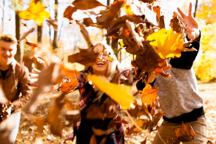 Une Carte Pour Profiter Au Max Des Couleurs De L Automne Huffpost Quebec Vivre