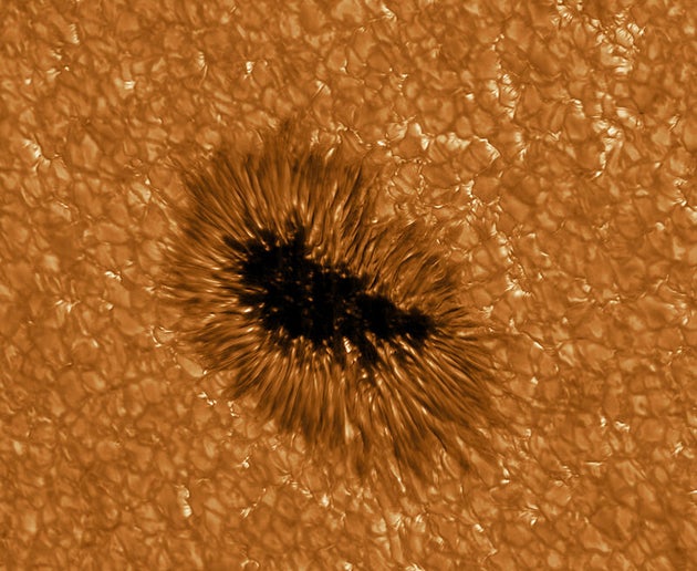 A sunspot as seen in high resolution via the GREGOR