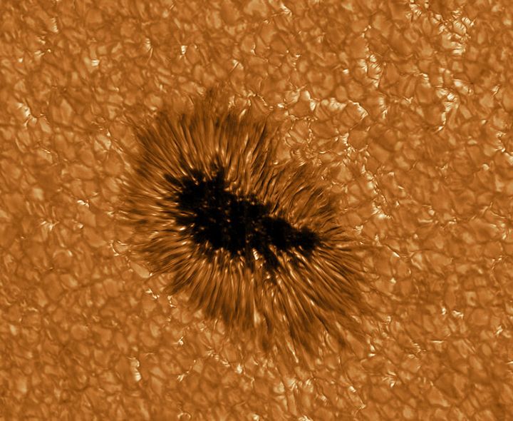 A sunspot as seen in high resolution via the GREGOR telescope.