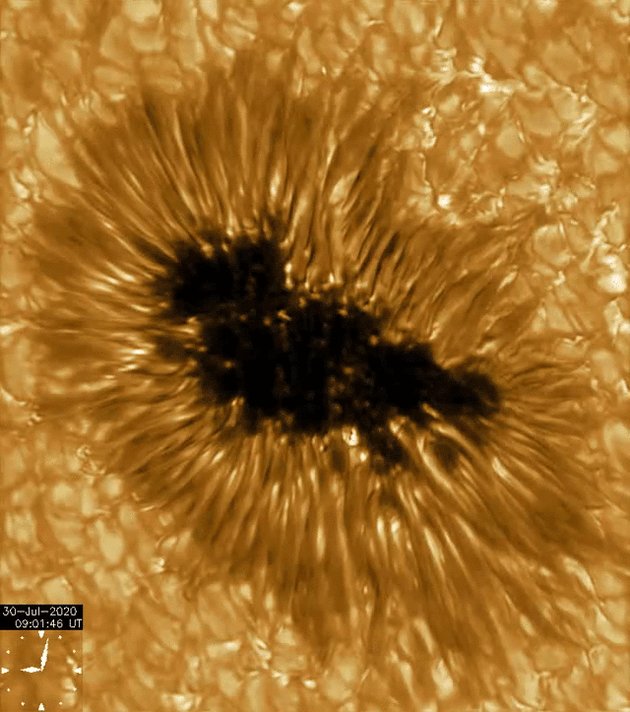 An animation of a sunspot viewed via the GREGOR