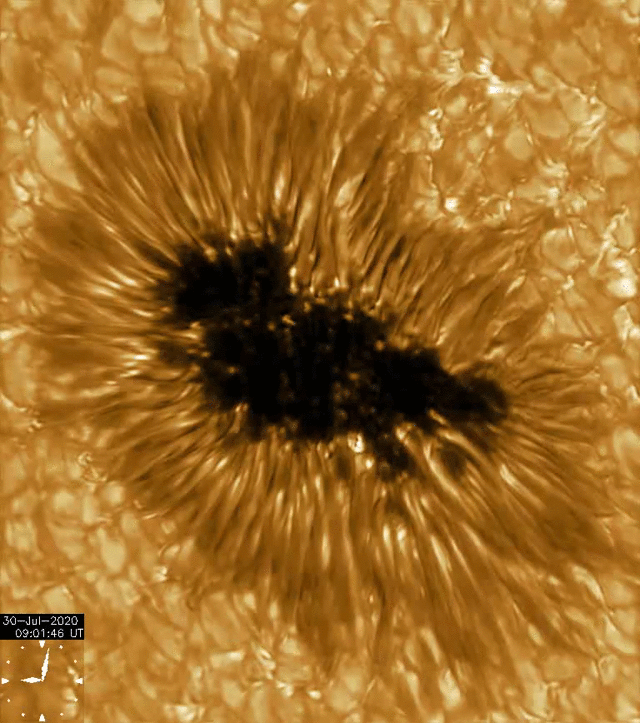 An animation of a sunspot viewed via the GREGOR telescope.