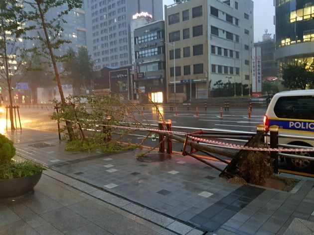 Collapsed under the influence of Typhoon 'HAISHEN'