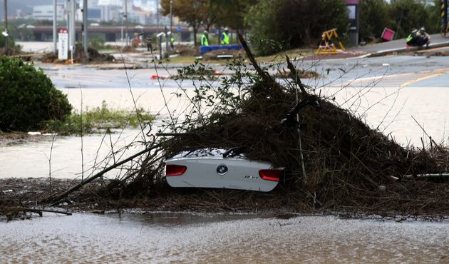 On the 7th, when the Taehwa River in Ulsan was flooded with a lot of rain due to the influence of the 10th Typhoon 'HAISHEN', the road under the Ulsan Bridge submerged and a vehicle was covered in bushes and branches and submerged in the water. ...