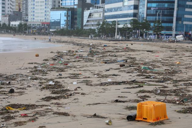 The sea off the coast of Gwangalli, Busan, is littered with marine debris such as algae, plastic and shoes left by Typhoon 'High Sun'.  Every time a typhoon hits Gwangalli, the garbage that floats in the sea riding strong waves ...