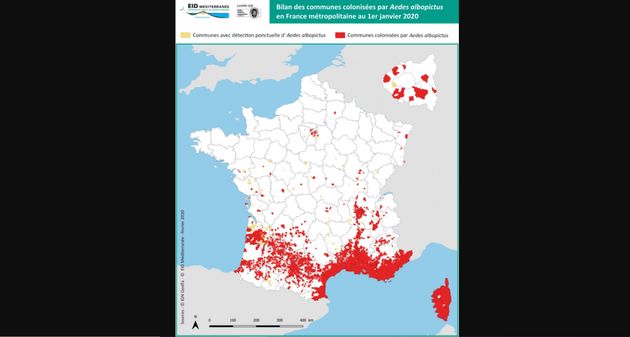 L'implantation du moustique tigre à l'échelle communale à la date du 1er janvier