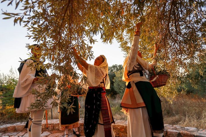 Συμβολική εκδήλωση στον αρχαίο οικισμό του χωριού Αρτεμισίου, όπου βρίσκεται η Μαυροελιά του Αρτεμισίου