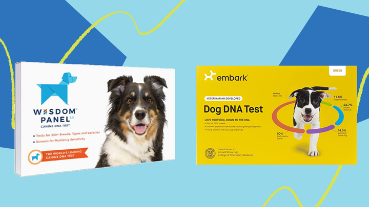 Dog shop dna sale