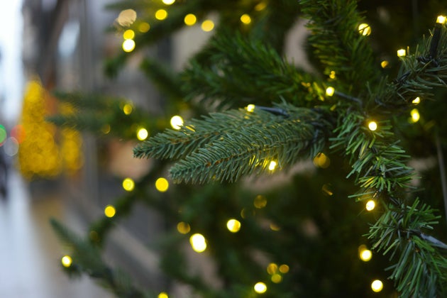 Le maire écolo de Bordeaux supprime le sapin de Noël , un "arbre mort" 5f5acd25240000341092211c