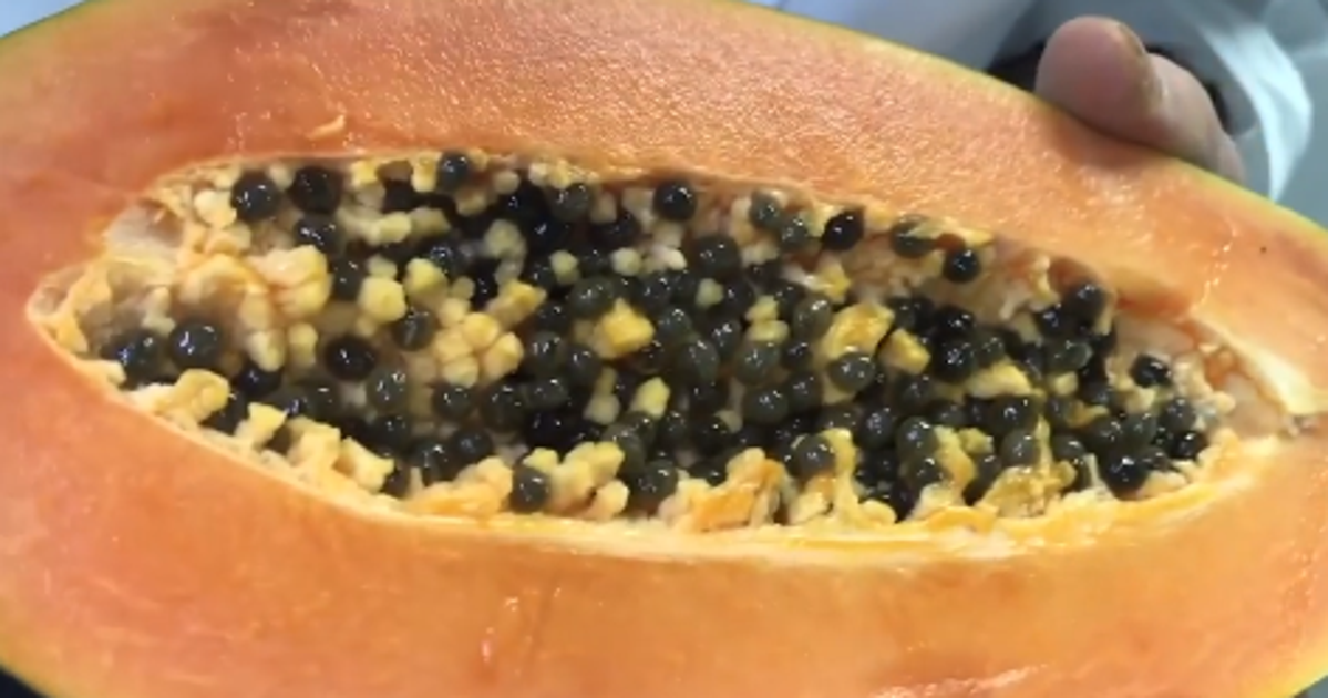 Recetas rápidas y fáciles - cover