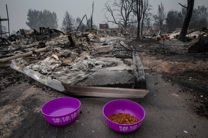 Cat food and water are seen as residents try to find lost pets who went missing during wildfires in Talent, Ore., Friday, Sept. 11, 2020, as destructive wildfires devastate the region.