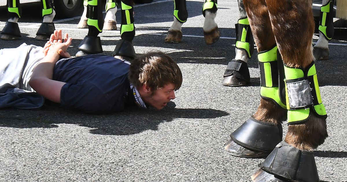 Scores Arrested At Anti-Lockdown Protests In Melbourne ...