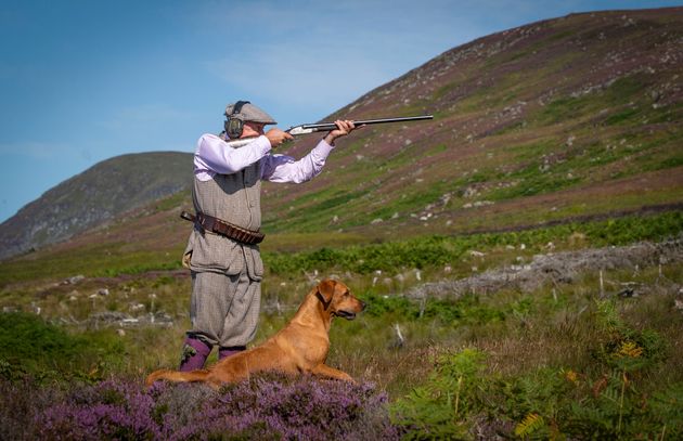 Grouse shooting in Scotland as 'the Glorious 12th', the official start of the grouse shooting season, got underway