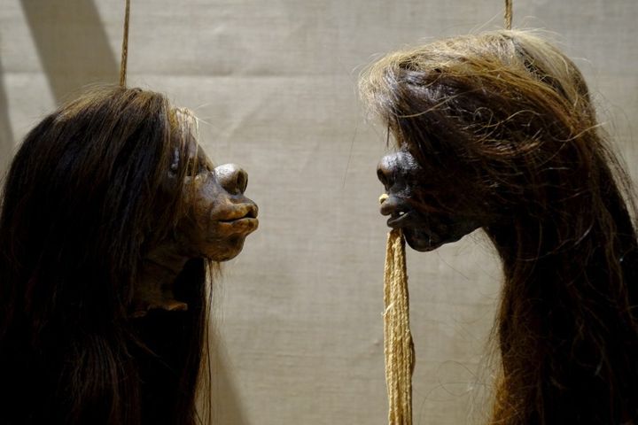 Oxford University’s Pitt Rivers Museum has removed its famous collection of shrunken heads and other human remains from display as part of a broader effort to “decolonize” its collections.