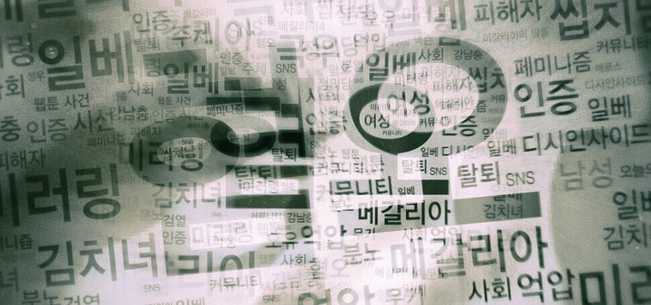 감염병의 유행은 사람들의 몸뿐 아니라 정신에도 후유증을 만들어낸다. 메르스에 대한 정보를 나누던 게시판인 메르스 갤러리가 여성 혐오를 그대로 남성에게 반사하는 미러링 기법을 주요 전략으로 삼는 사회운동의 시발점이 되리라고 누구도 생각하지 못했다. 2016년 송권재 기자가 디자인했다.