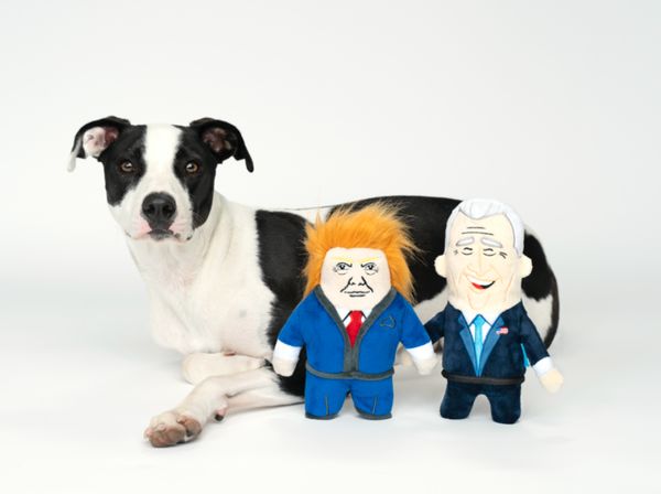 Dogged by confusion over which candidate to vote for? Maybe let your dog decide for you! Put these <a href="https://barkshop.