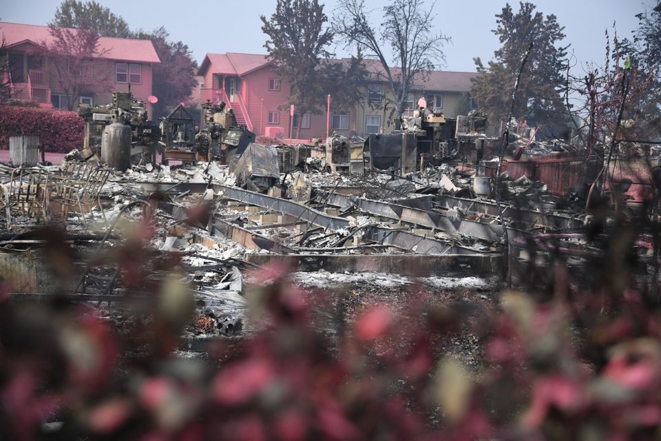 Όρεγκον: Όλα έγιναν ροζ και γκρι σε μια από τις πιο πράσινες πολιτείες που την καταπίνουν οι