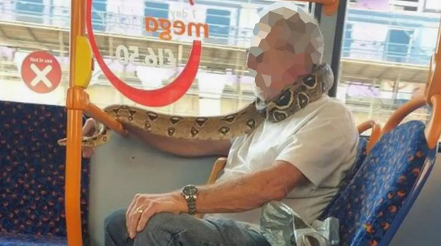 No, You Can’t Wear A Live Snake As A Face Covering On A Bus