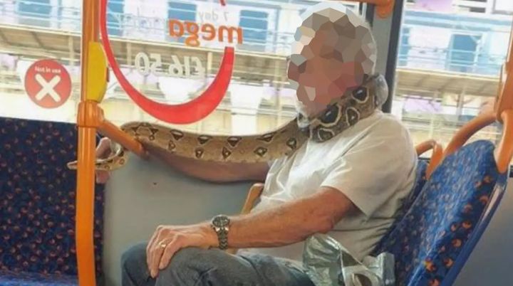 The commuter was spotted wearing his reptilian mask on a bus from Swinton to Manchester on Monday 
