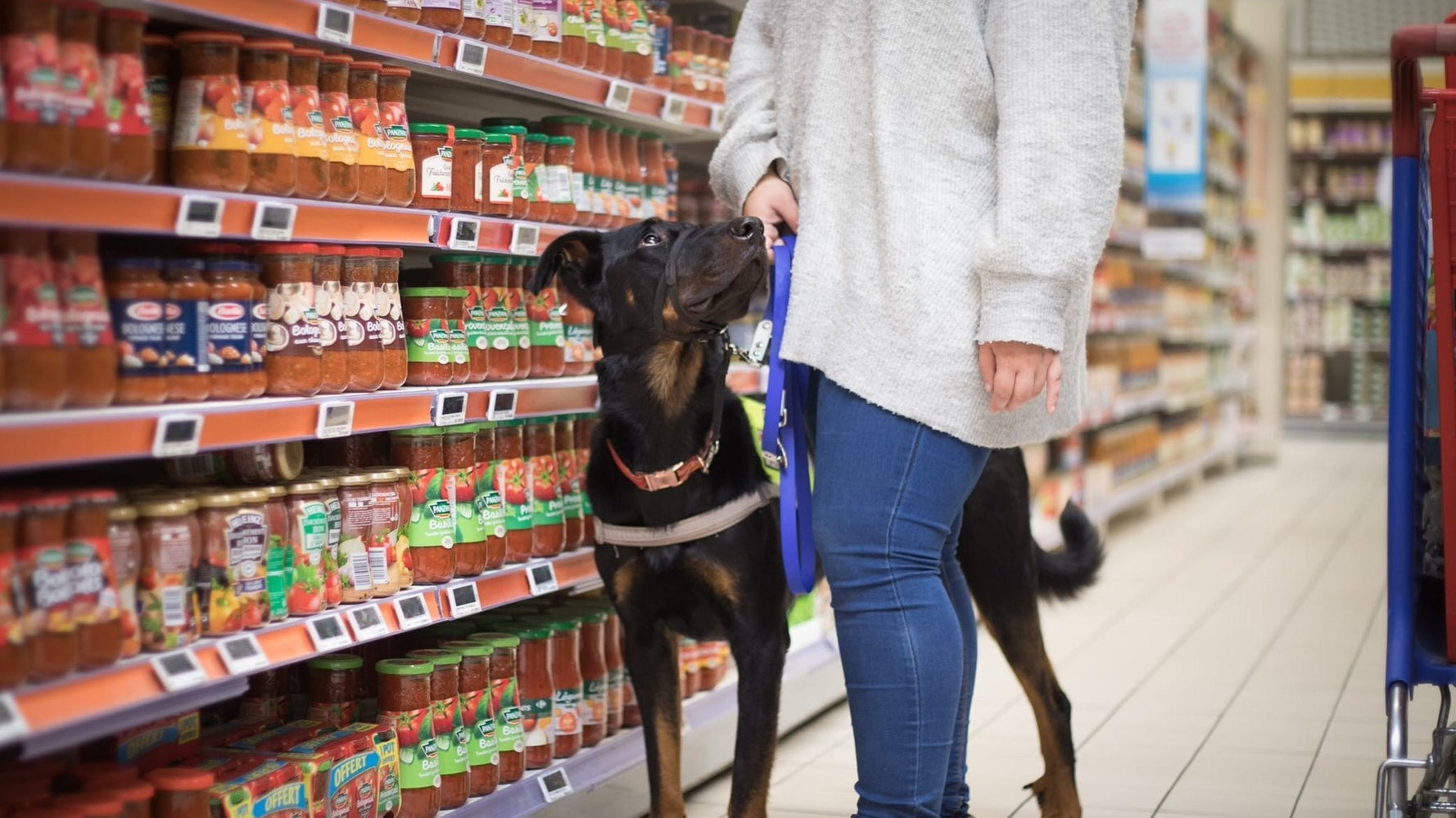 Un Magasin Lidl Refuse L Entree A Une Femme Epileptique A Cause De Son Chien D Assistance Le Huffington Post Life