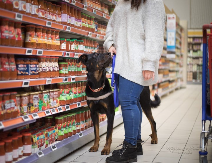 Un Magasin Lidl Refuse L Entree A Une Femme Epileptique A Cause De Son Chien D Assistance Le Huffington Post Life