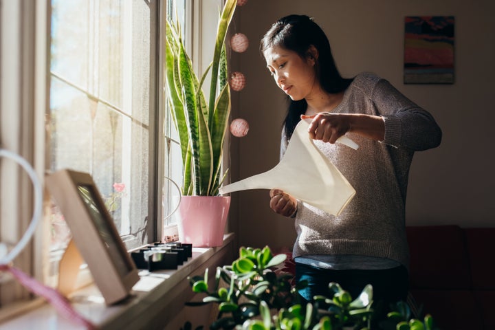 Plant life, nature scenes and decor made with natural materials will help make it feel less like the walls are closing in on you through the colder months.