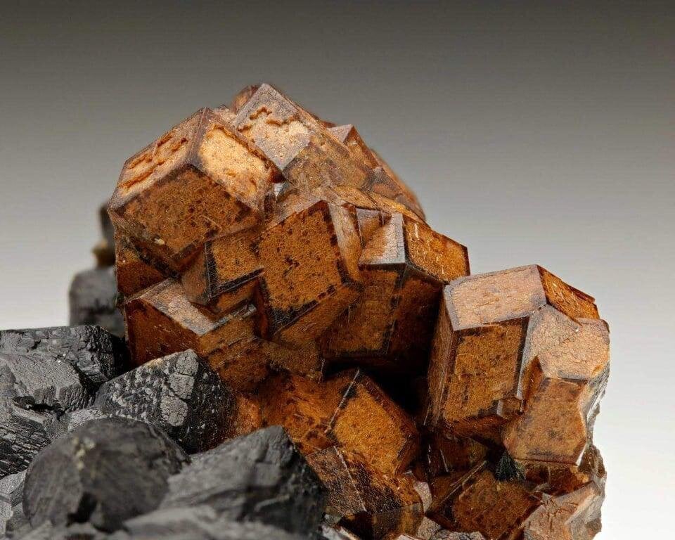 Κρύσταλλοι ανδραδίτη (Andradite) σε εδεμβεργίτη από την Σέριφο.  Φωτ. του Fritz Schreiber.