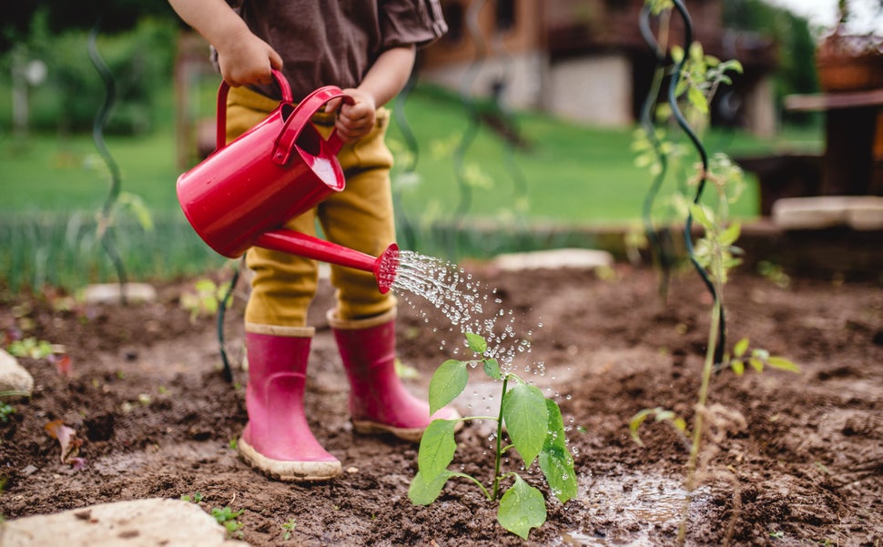 It's ideal to nurture as much green space as possible