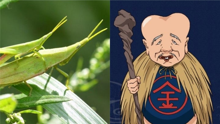 おんぶバッタ土下座 子泣きじじい土下座 など珍回答続出 半沢直樹 第9話の名場面の呼び名を香川照之さんが募集 ハフポスト アートとカルチャー おんぶバッタ土下座 子泣きじじい土下座 など珍回答続出 半沢直樹 第9話の名場面の呼び名を香川照之さんが募集 ハフポスト アートとカルチャー