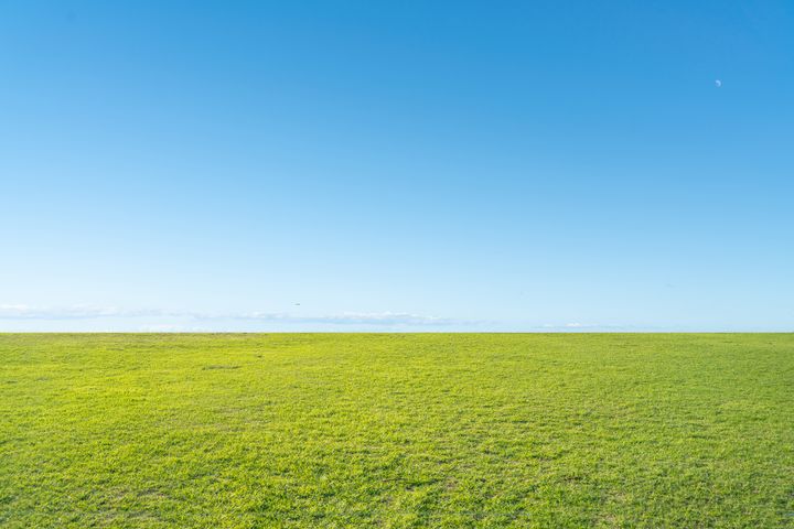 Grass background and skyline under blue sky