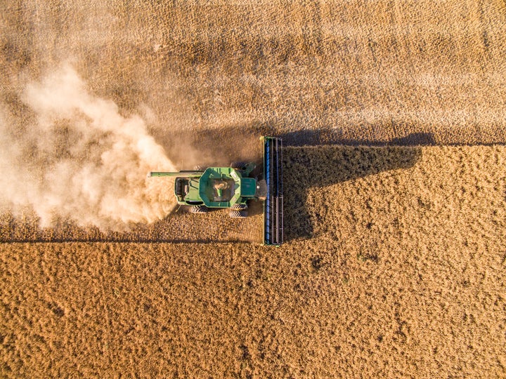 In the U.S. alone, up to 40% of the country’s food is wasted every year.