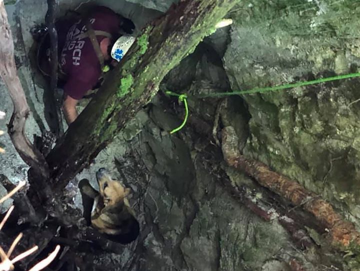 A member of the Burke County Rescue Squad rescues a dog trapped 30 feet (9 meters) down in a sinkhole, Sunday, Sept. 20, 2020, at Pisgah National Forest in Morganton, N.C