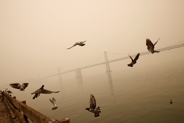 The San Francisco-Oakland Bay Bridge is seen under a smoke-filled sky due to various California wildfires earlier this month.