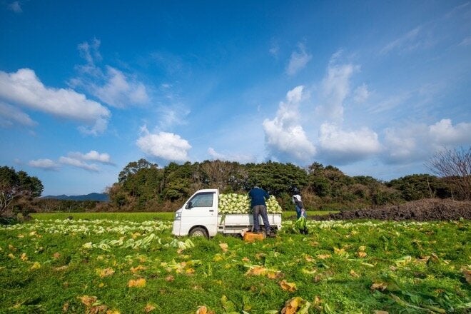 市街地から車で30分ちょっとの海の前に、バンガローを借りた。移動はすべて車。運転している間のどかな風景が広がる。（撮影：廣瀬健司）