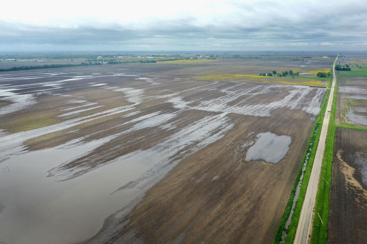 Water pools in rain-soaked fields on May 29, 2019, near Gardner, Illinois, after near-record rainfall in the state caused farmers to delay their spring corn planting.