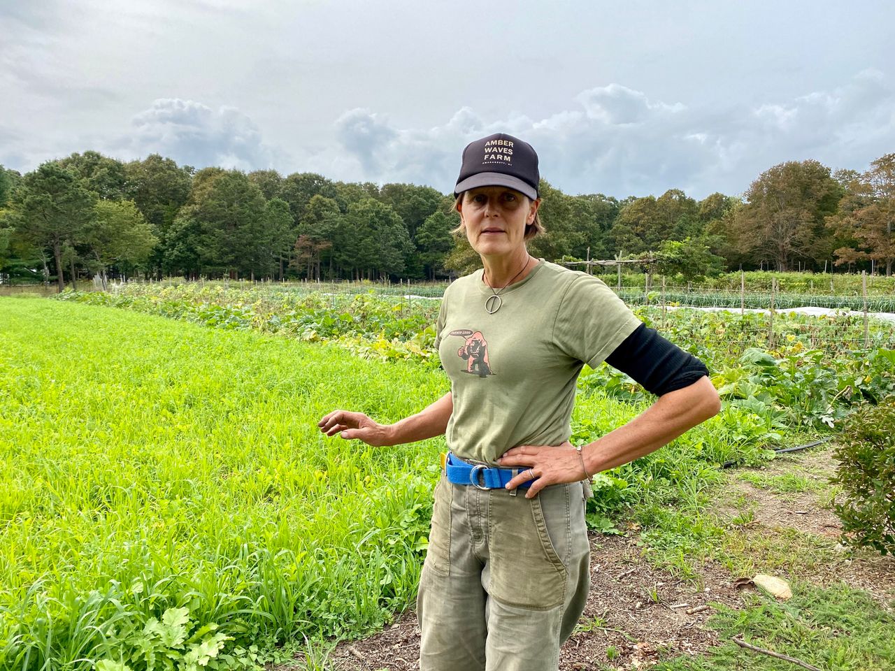 Patty Gentry transformed two acres of trash-strewn dirt on Long Island into a profitable organic farm by betting big on regenerative farming.