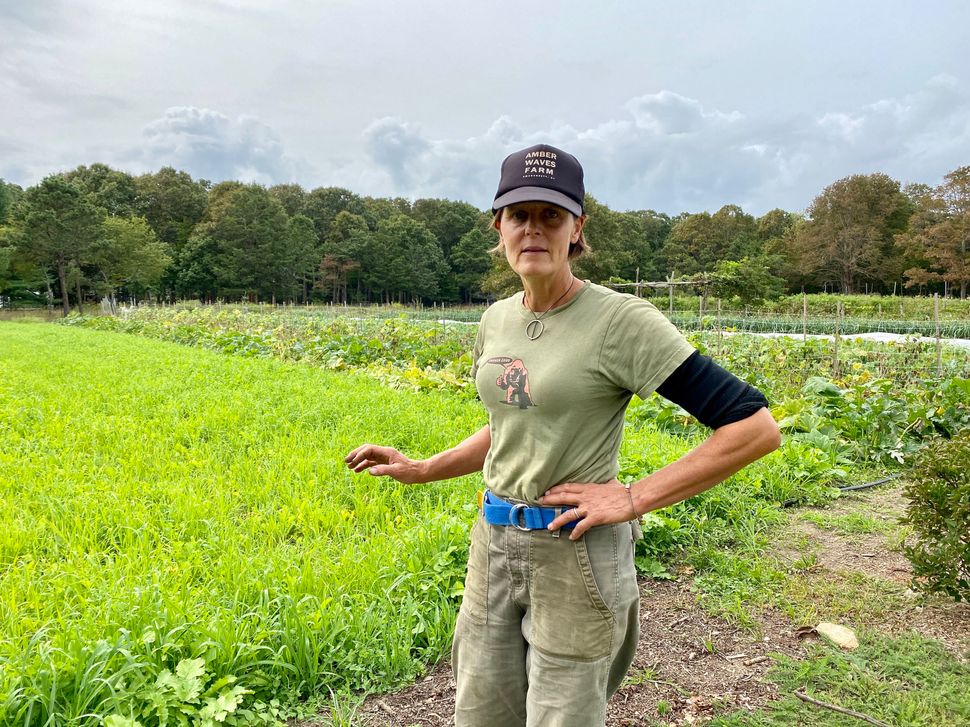 Patty Gentry transformed two acres of trash-strewn dirt on Long Island into a profitable organic farm by betting big on regen